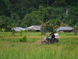 Malinau Kaltara Ajukan Pelepasan 15 Ribu Hektare Lahan Pertanian untuk Ketahanan Pangan