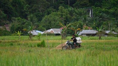 Malinau Kaltara Ajukan Pelepasan 15 Ribu Hektare Lahan Pertanian untuk Ketahanan Pangan